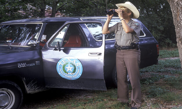 Woods, Waters, and Wildlife: New Poaching Scheme Alert