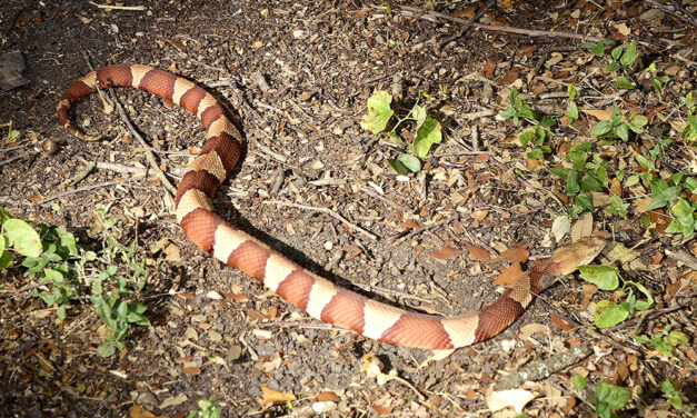 BEiNG CAREFUL IS REQUIRED