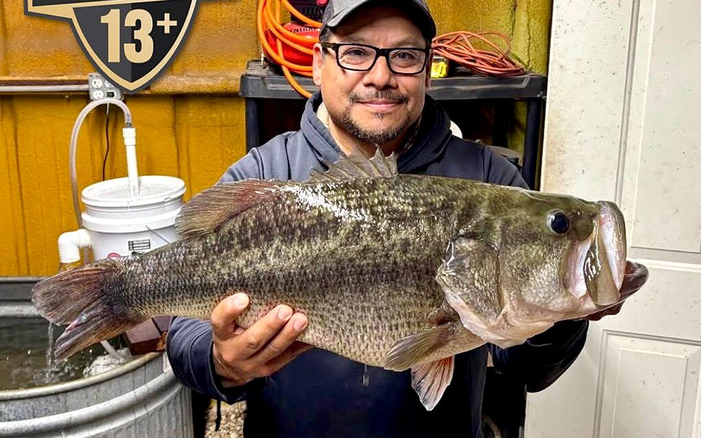 Woods, Waters, and Wildlife:  Sharelunkers Timid in 2026