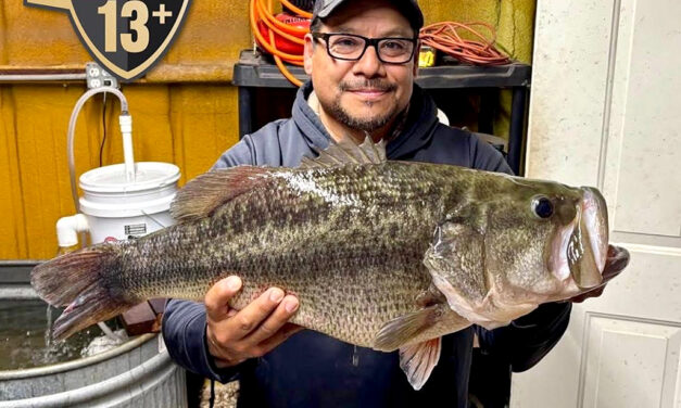 Woods, Waters, and Wildlife:  Sharelunkers Timid in 2026