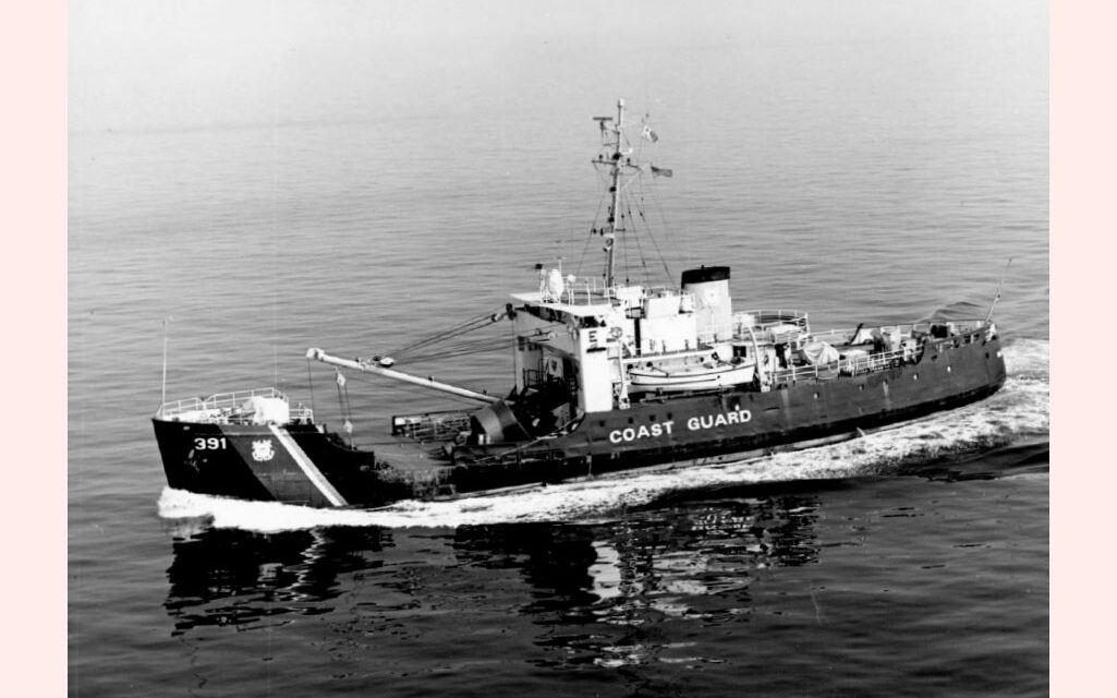 Weekly Devotional: The Blackthorn Legacy