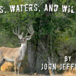 Woods, Waters, and Wildlife: Hunting Regulations are Changing