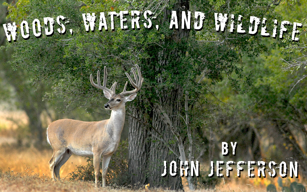 Woods, Waters, and Wildlife: Hunting Regulations are Changing