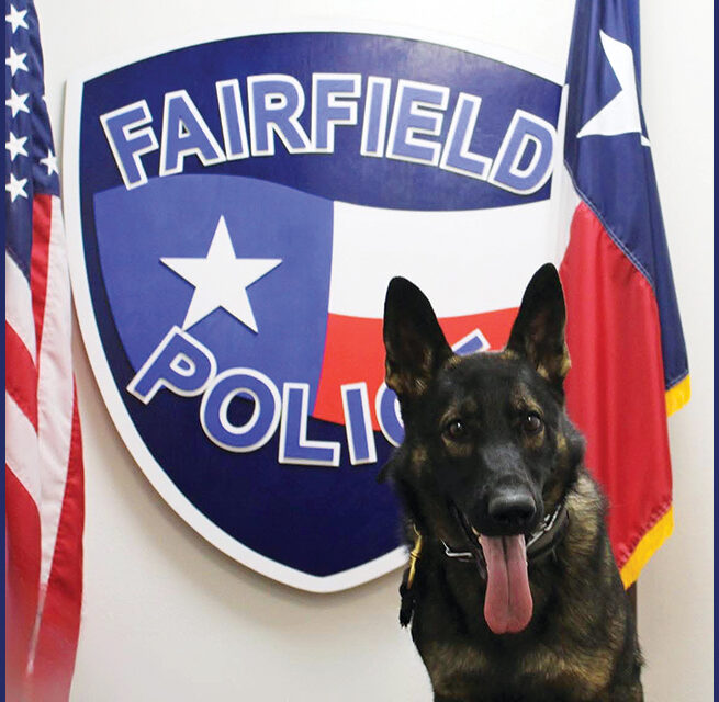 Getting To Know Fairfield PD – Part 3 of 4