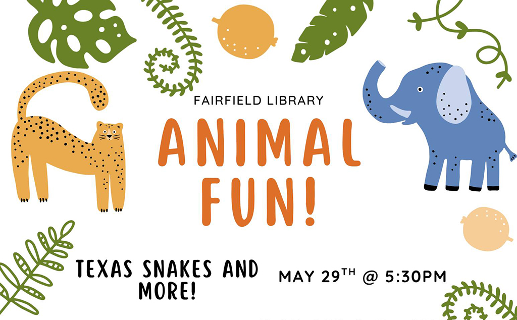 Popular Texas Snakes & More Kicks Off Summer Reading at Fairfield Library