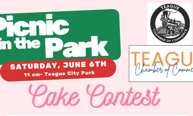 Teague Chamber’s Picnic in the Park – Family Games & Fun – June 6th