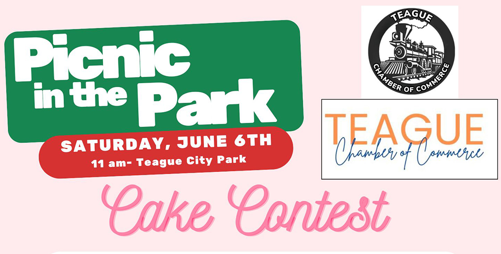Teague Chamber’s Picnic in the Park – Family Games & Fun – June 6th