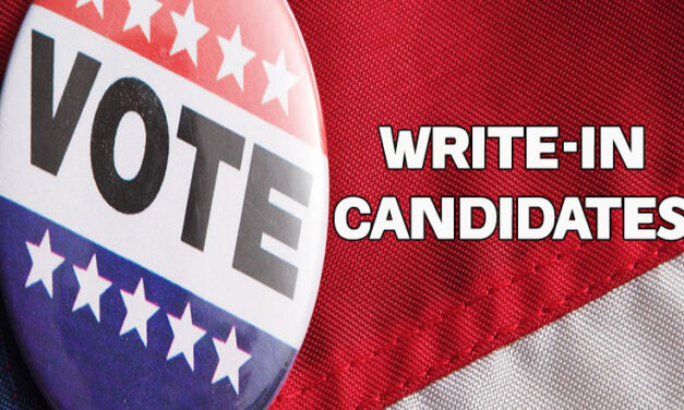 November General Election Write-In Candidate Info