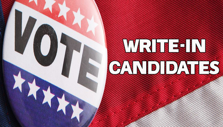 November General Election Write-In Candidate Info